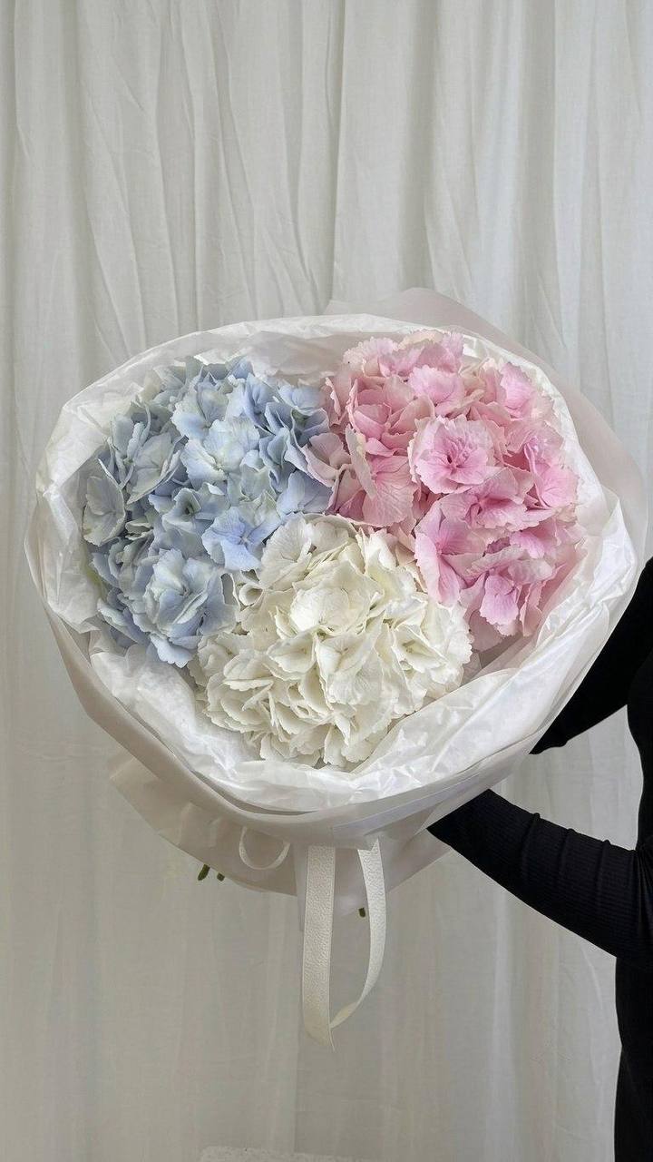 Моно-букет из 3 гортензий